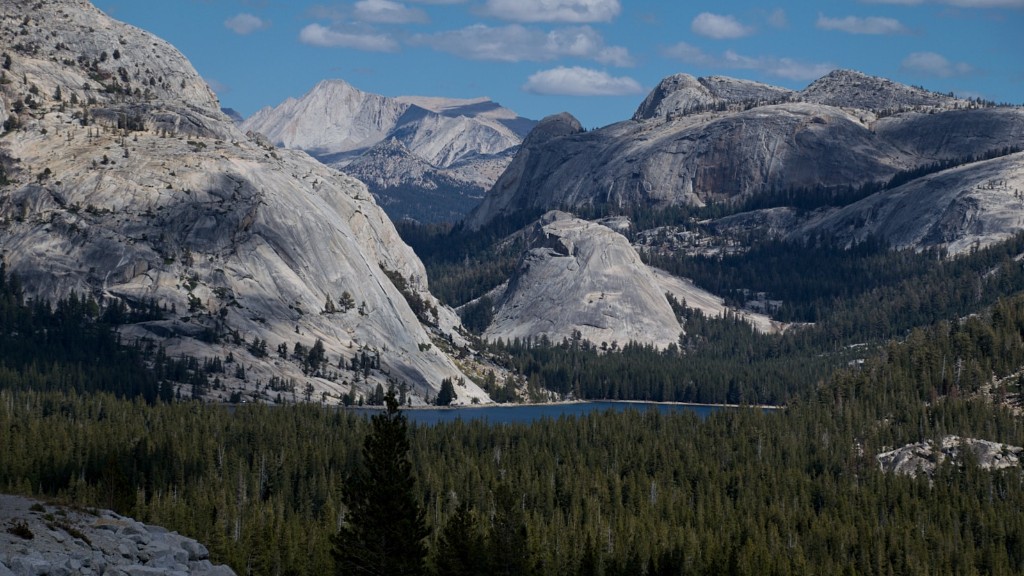 Quelles activités pouvez-vous faire au parc national de Yosemite